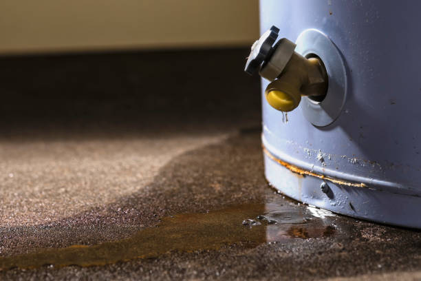 Water damage restoration experts in Clarkton, MO