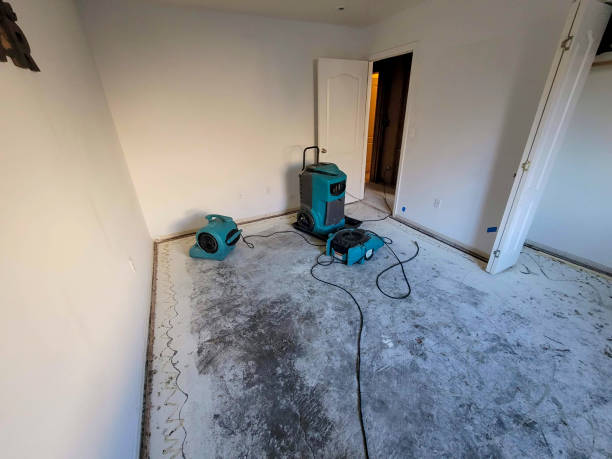 Trusted Clarkton, MO Water damage restoration Experts