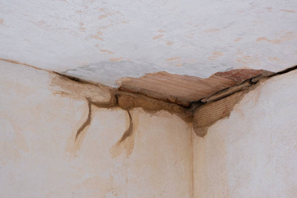 Best Sewage cleanup and water damage restoration  in Clarkton, MO