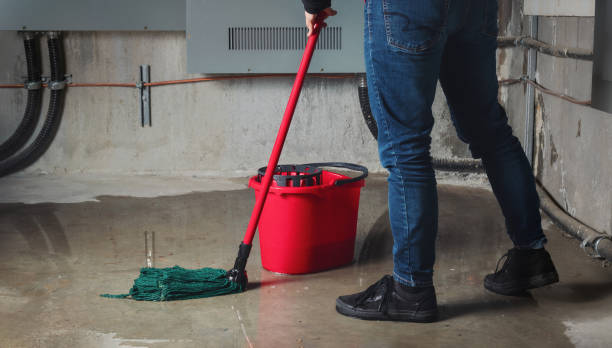 Best Emergency water damage restoration  in Clarkton, MO