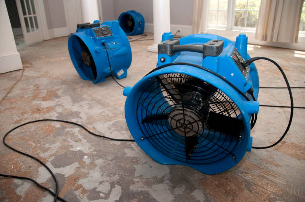 Best Residential water damage restoration  in Clarkton, MO