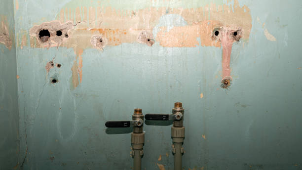 Best Flood damage cleanup  in Clarkton, MO