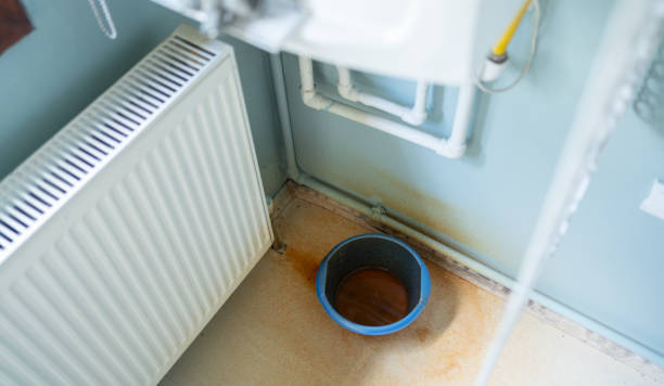Best Flooded house restoration  in Clarkton, MO