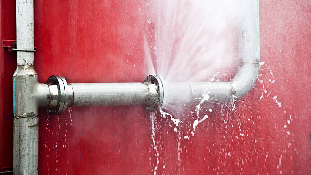 Best Water damage cleanup near me  in Clarkton, MO